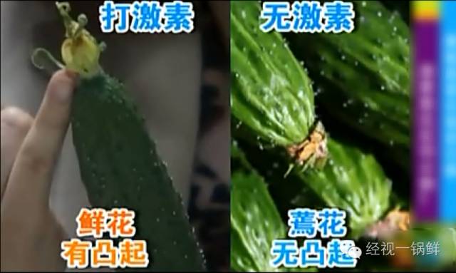 夏季蔬菜農藥殘留排行榜